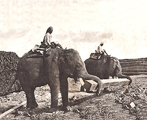 Sigiriya construction with elephants