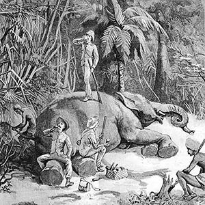 Elephant hunting in Ceylon