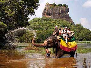 Sigiriya elephant ride