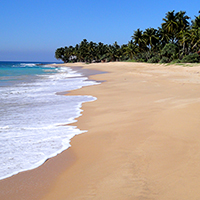 Sri Lanka Beach scene