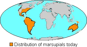 Map of Marsupial distribution around the world