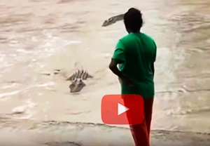 Woman scares off a crocodile