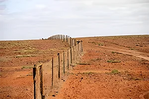 Dingo-proof fence