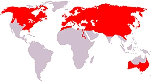 Red FOx worldwide distribution map