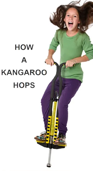 Learn how a kangaroo hops