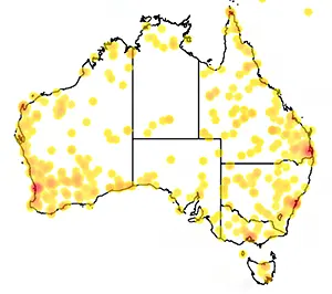 redback habitate distribution