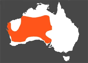 Distribution map
