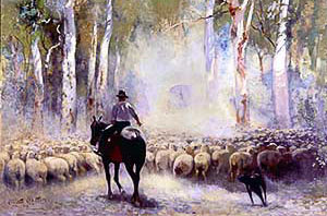 Droving sheep in the Australian Outback
