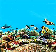 barrier reef coral with shark and turtle