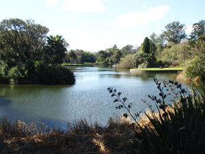 Melborune Botanical Gardens